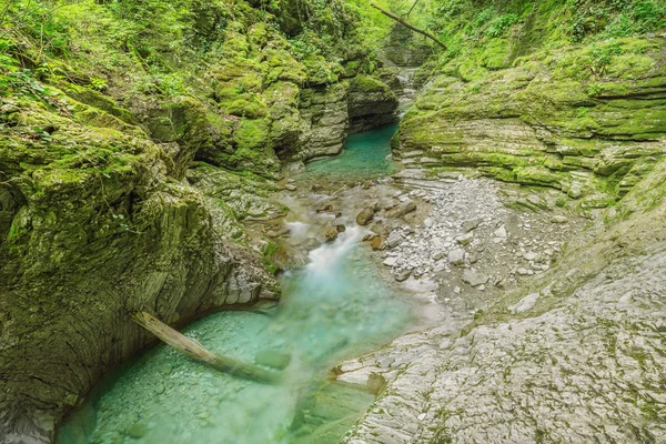 Kanyon. — Stok fotoğraf