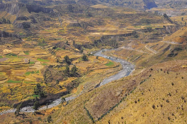 コルカ渓谷、ペルー、南アメリカ. — ストック写真