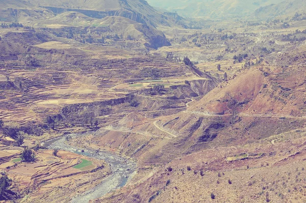 Colca 峡谷、 秘鲁，南美洲. — 图库照片