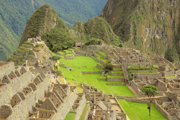 En las calles de Machu Picchu . — Foto de Stock