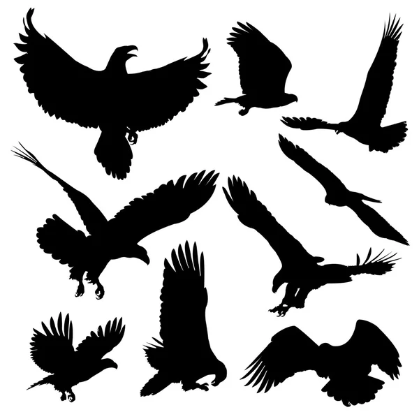 Kel Kartallar siluetleri izole beyaz arka plan üzerinde. 