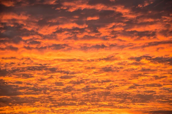 Cielo atardecer . —  Fotos de Stock