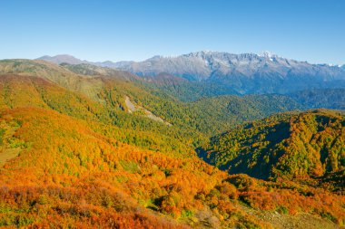 sonbahar dağ manzarası.
