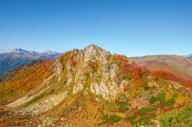 sonbahar dağ manzarası.