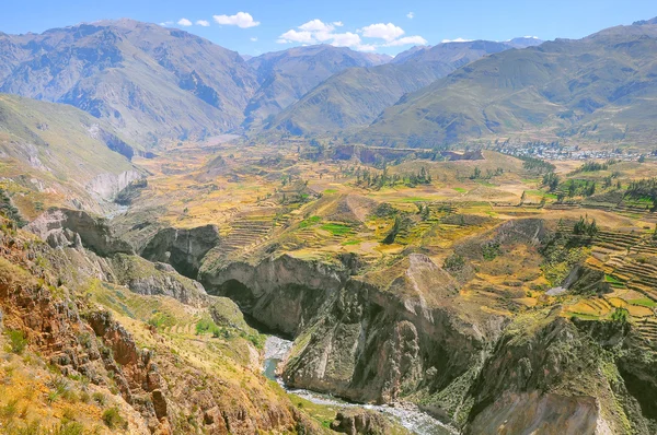 colca Kanyonu, peru, Güney Amerika. 