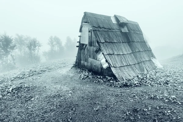 dağda çoban kulübe.