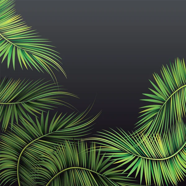Branches de palmiers . — Image vectorielle