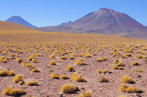 Horskou krajinu v poušti Atacama v denní době, — Stock fotografie