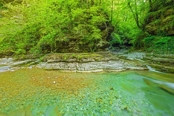 Creek with pure water. — Stock Photo, Image