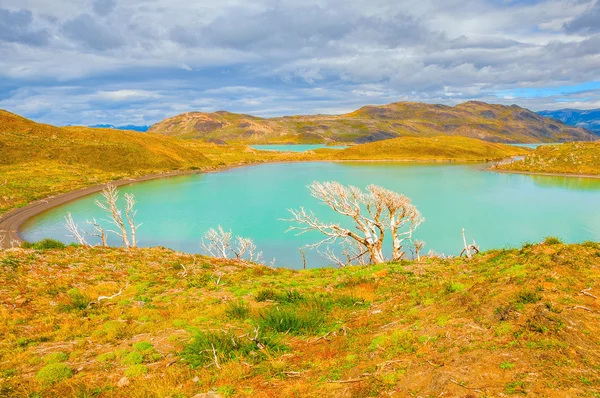 토레스 델 페인 국립 공원의 다채로운 호수. — 스톡 사진