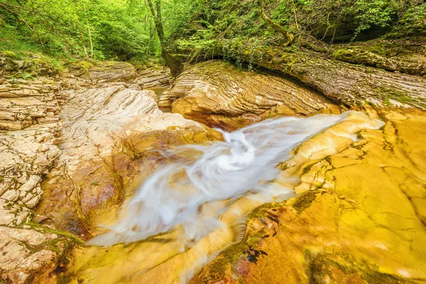 Creek with pure water — Stock Photo, Image