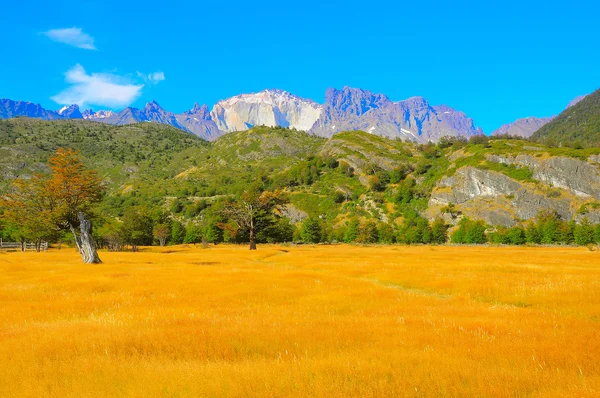 Vista mañana a la montaña del Parque Nacional Torres del Paine . —  Fotos de Stock