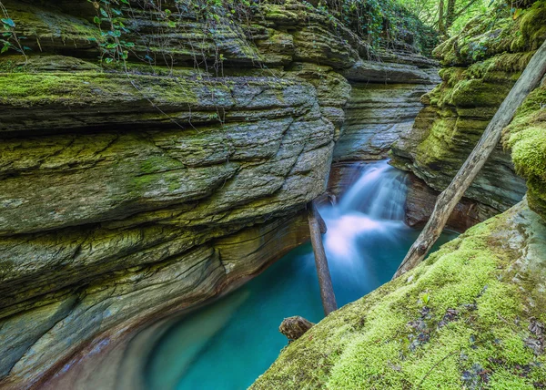 Creek saf su ile — Stok fotoğraf