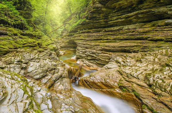 Creek saf su ile. — Stok fotoğraf