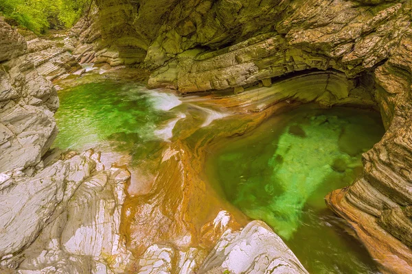 Creek with pure water — Stock Photo, Image