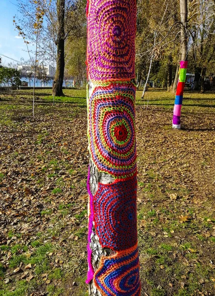 Rustic knitted rug of bright multicolored wool stripes.Knitted rugs adorn the birch. Folk holidays