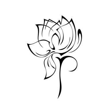 Beyaz arka planda siyah çizgilerle kısa saplı büyük yapraklı bir çiçek.