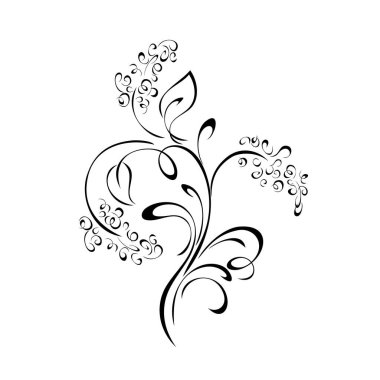 Tarzlı çiçekler, yapraklar ve beyaz arkaplanda siyah çizgiler halinde girdaplar.