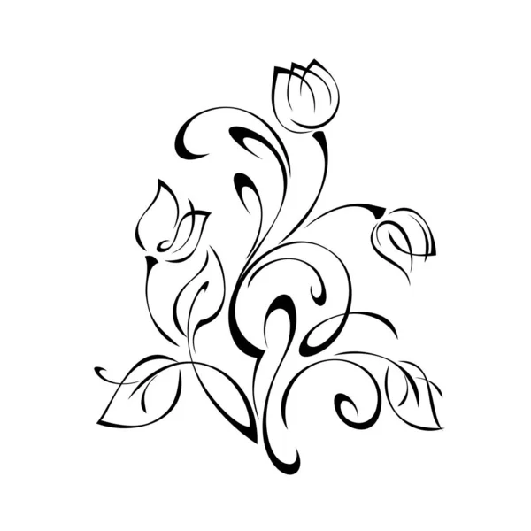 Element Dekoracyjny Stylizowanymi Pączkami Kwiatowymi Liśćmi Lokami Czarnych Liniach Białym — Wektor stockowy