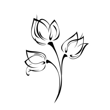 Eğri saplı üç çiçek tomurcuğu beyaz arkaplanda siyah çizgiler içinde