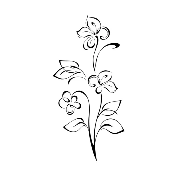 Gałązka Liśćmi Stylizowanymi Kwiatami Czarnych Liniach Białym Tle — Wektor stockowy