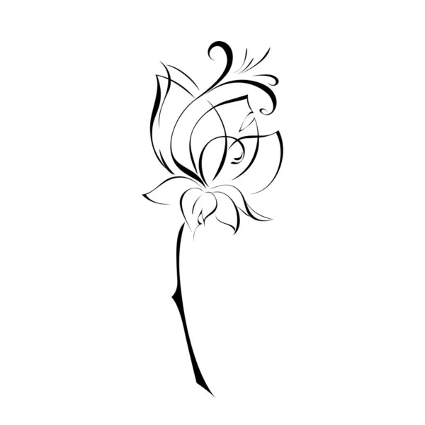 Beyaz Arkaplanda Siyah Çizgilerle Biçimlendirilmiş Çiçek — Stok Vektör