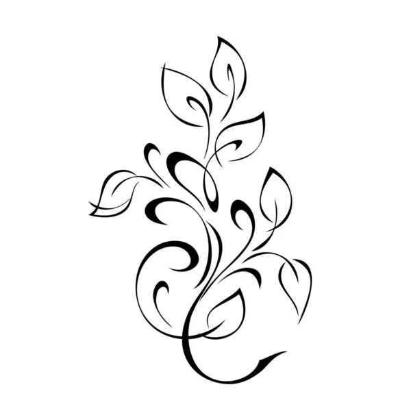 Decorative Element Stylized Leaves Curls Black Lines White Background — Stock Vector