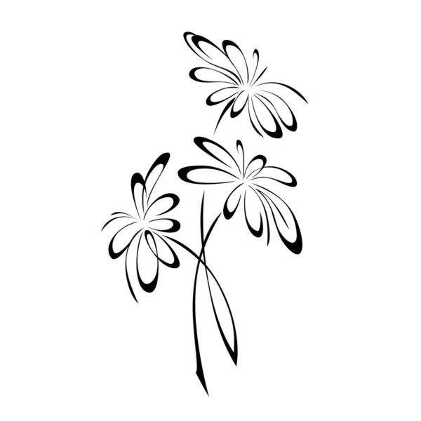 Stylizowany Bukiet Trzech Kwitnących Kwiatów Czarnych Liniach Białym Tle — Wektor stockowy