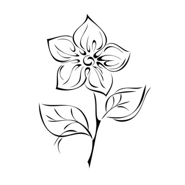 Kısa saplı büyük yaprakları olan, beyaz arkaplanda siyah çizgileri olan stilize bir çiçek.