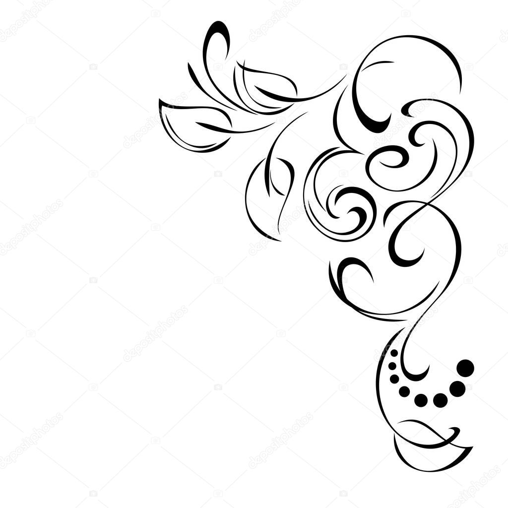 decorative element with stylized leaves, curls in black lines on a white background. corner decoration