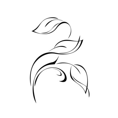 Beyaz arkaplanda siyah çizgiler ve yapraklarla stilize edilmiş dal.