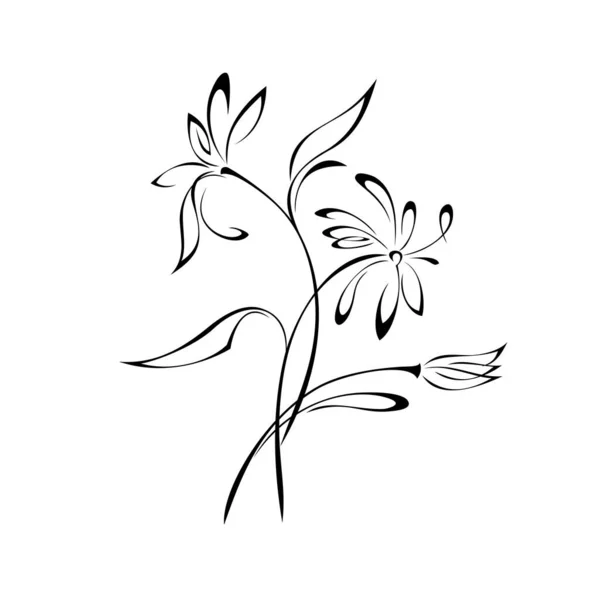 Bukiet Stylizowanych Kwiatów Długich Łodygach Liśćmi Czarnych Liniach Białym Tle — Wektor stockowy