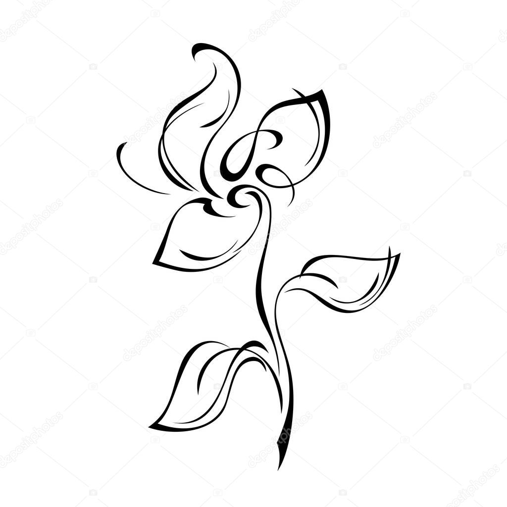 one unique stylized flower on a stalk with two leaves in black lines on a white background