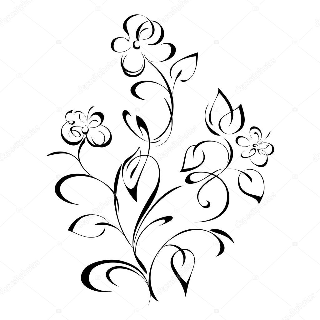 stylized bouquet of wildflowers with leaves and curls in black lines on white background