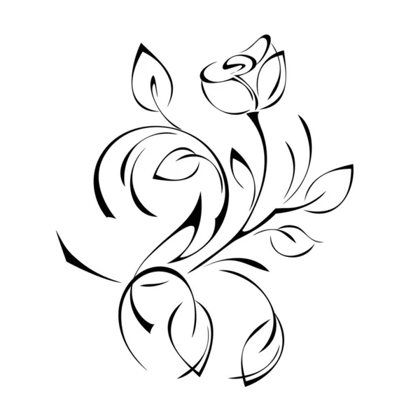 Stylized Twig One Rose Bud Leaves Curls Black Lines White — Stock Vector