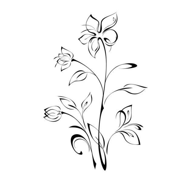 Blommande Blomma Och Två Knoppar Stjälkar Med Blad Svarta Linjer — Stock vektor