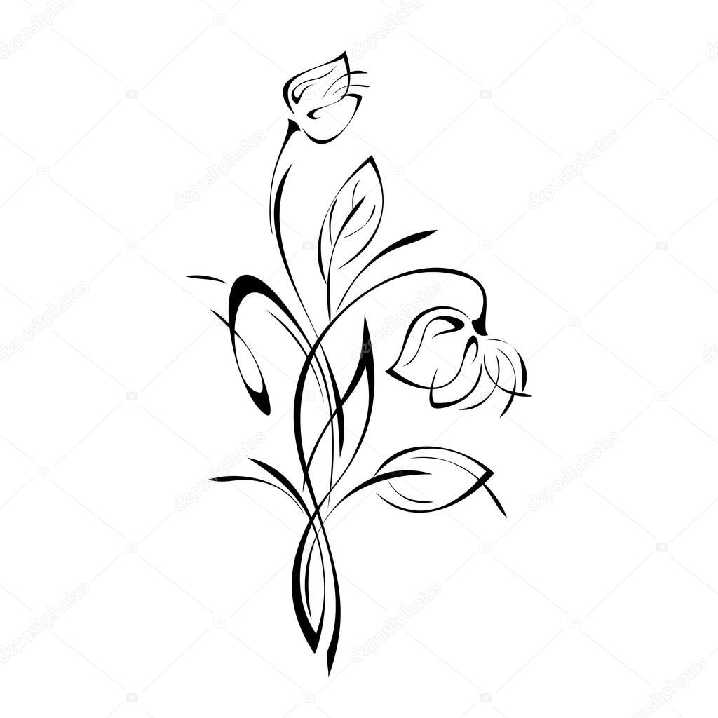stylized sprig with one bell flower with leaves and curls in black lines on white background