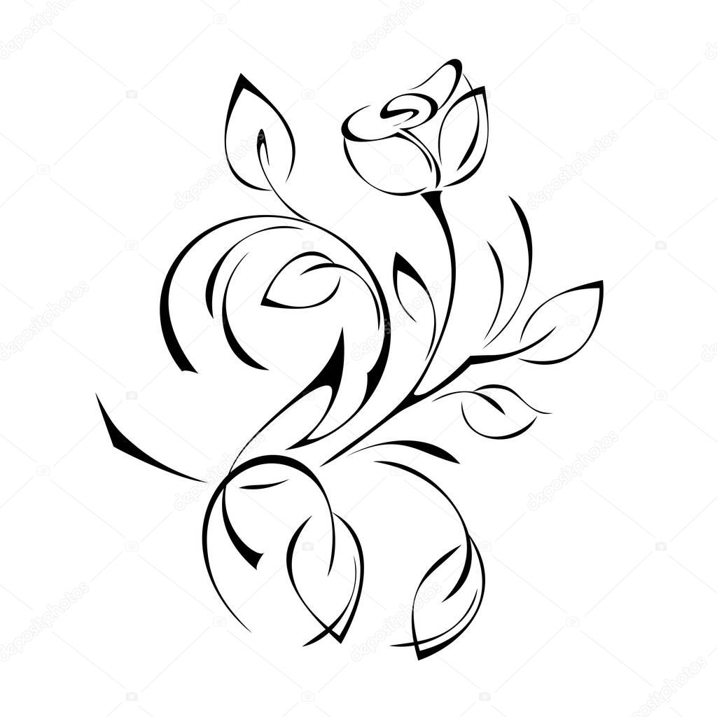 stylized twig with one rose Bud with leaves and curls in black lines on a white background