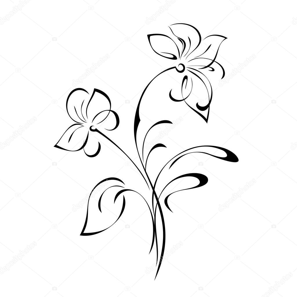 stylized twig with two flowers, a leaf and curls in black lines on a white background