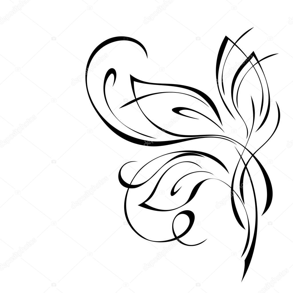 decorative twig with leaves and curls in black lines on a white background