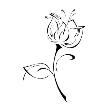 Kısa saplı bir çiçek, beyaz arkaplanda siyah çizgiler halinde bir yaprak.