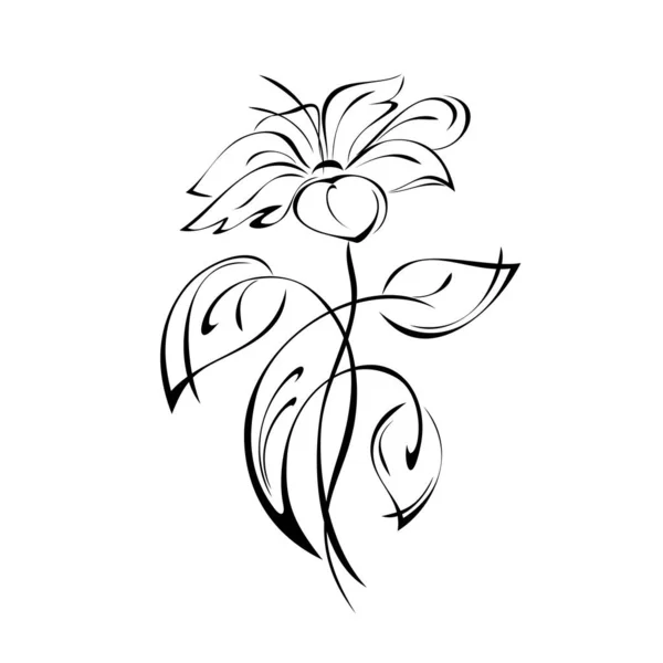 Декоративна Квітка Великими Пелюстками Стеблі Листям Завитками Чорних Лініях Білому — стоковий вектор