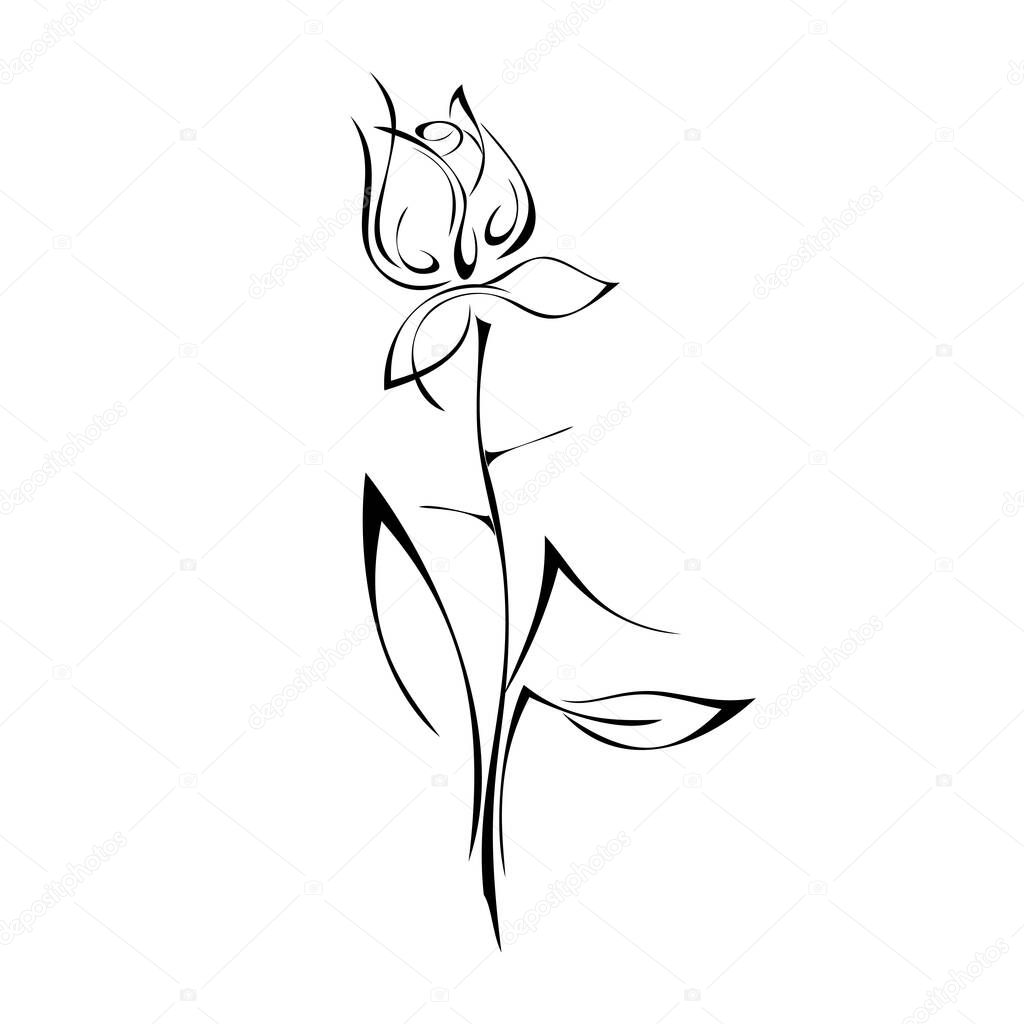 one stylized rosebud on a stem with leaves and thorns in black lines on a white background