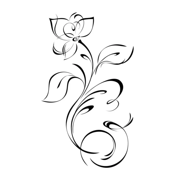 Ornement Avec Fleur Stylisée Feuilles Boucles Lignes Noires Sur Fond — Image vectorielle