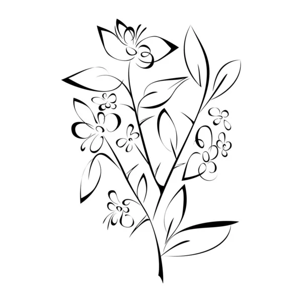Gestileerde Bloemen Zwarte Lijnen Een Witte Achtergrond — Stockvector