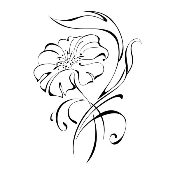 Stylized flower in black lines on a white background