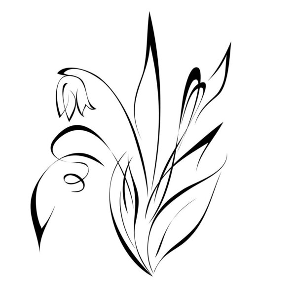 one stylized flower Bud on a stem with leaves and curls in black lines on a white background