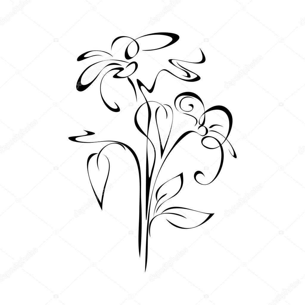 two stylized flowers on stems with leaves in black lines on white background