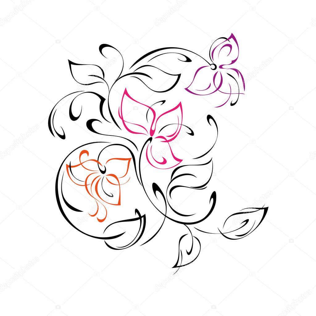 decorative ornament with stylized flowers, leaves and curls in colored lines on a white background