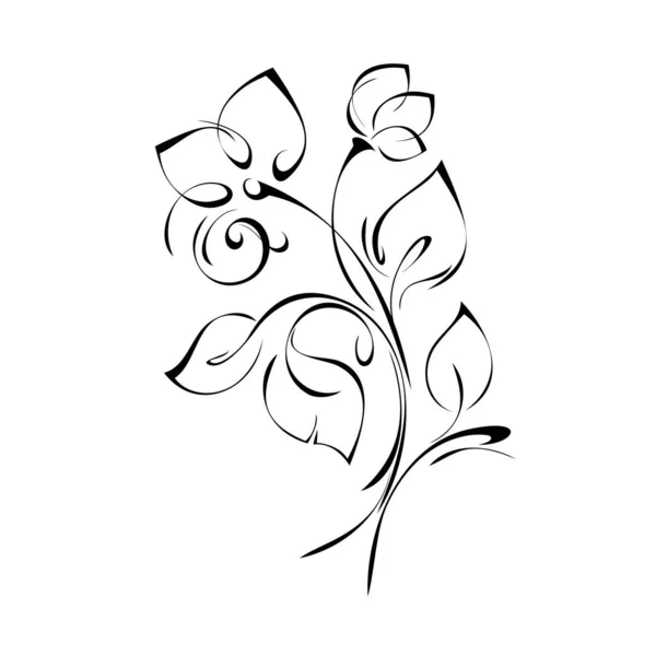 Fiore Stilizzato Stelo Con Foglia Linee Nere Fondo Bianco — Vettoriale Stock